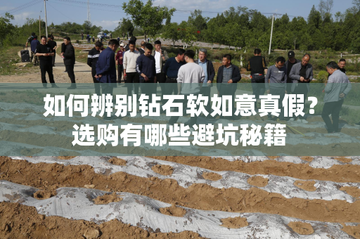 如何辨别钻石软如意真假？选购有哪些避坑秘籍